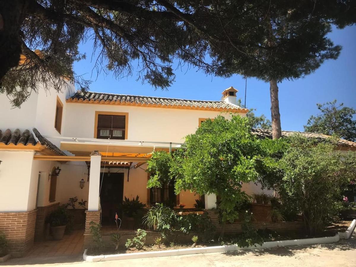 Paredejas del Rey Priego de Córdoba Exterior foto